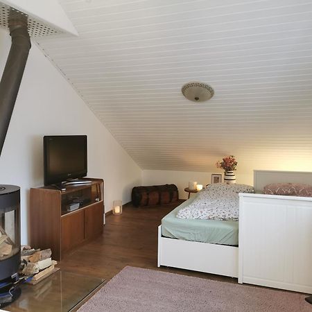Wohnung In Idyllischem Oertchen ميشيده المظهر الخارجي الصورة